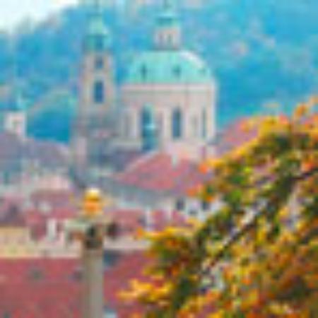 Yummi Roof Top Restaurant